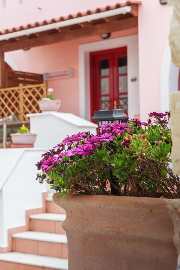 Chalki Apartments - Naxos Khalkion Екстер'єр фото